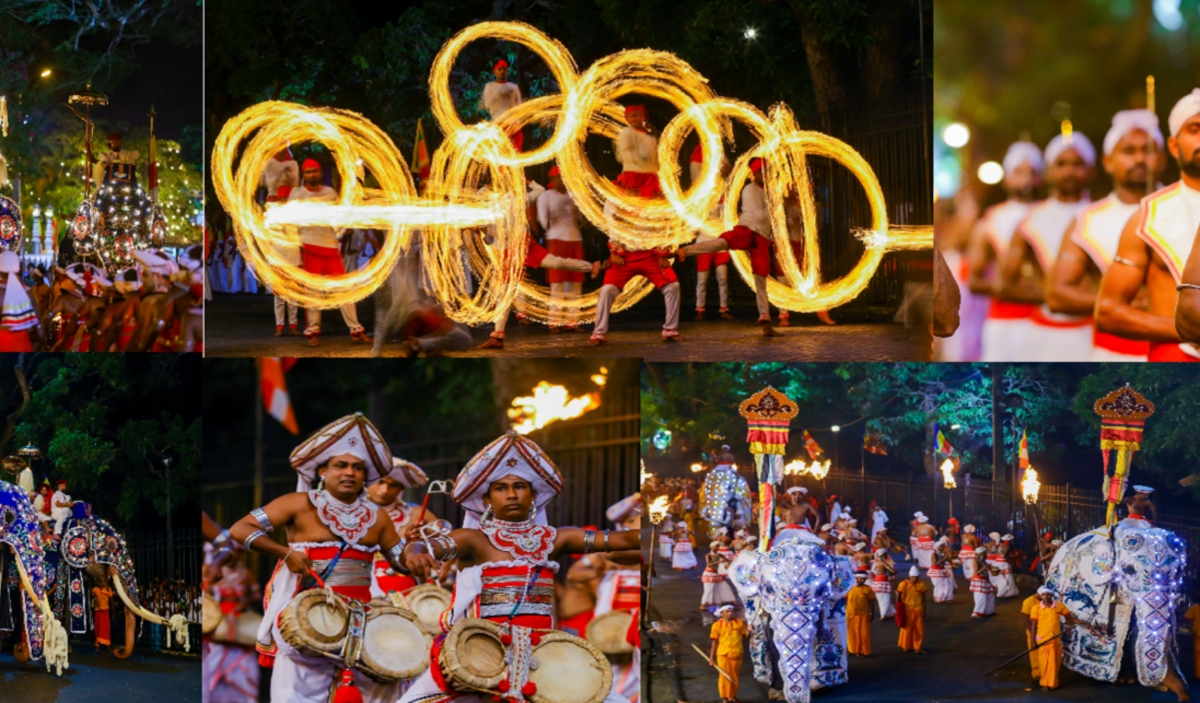 Highlights of the Vibrant Kandy Esala Perahera